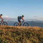 Dips&drops - The First Bike And Hub 弗拉绍