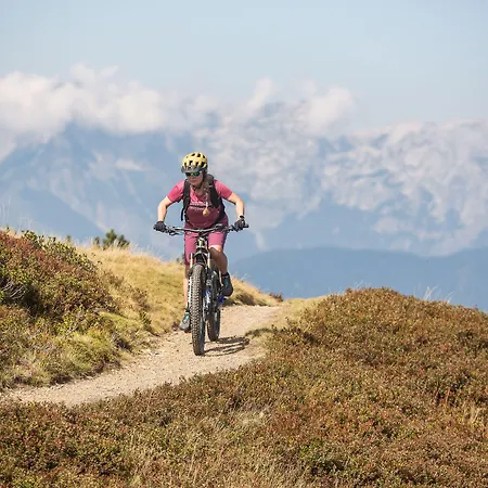 Dips&drops - The First Bike And Hub ホテル 4*