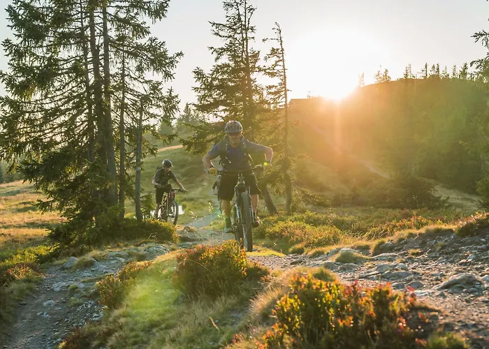 Hotell Dips&drops - The First Bike And Hub Flachau